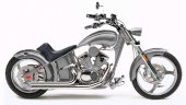 2008 Rhino Hunter Softail STP-003 photo